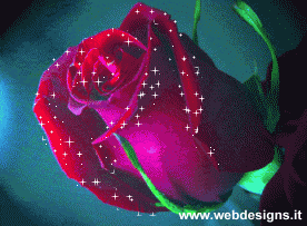 glitter rose www.webdesigns.it